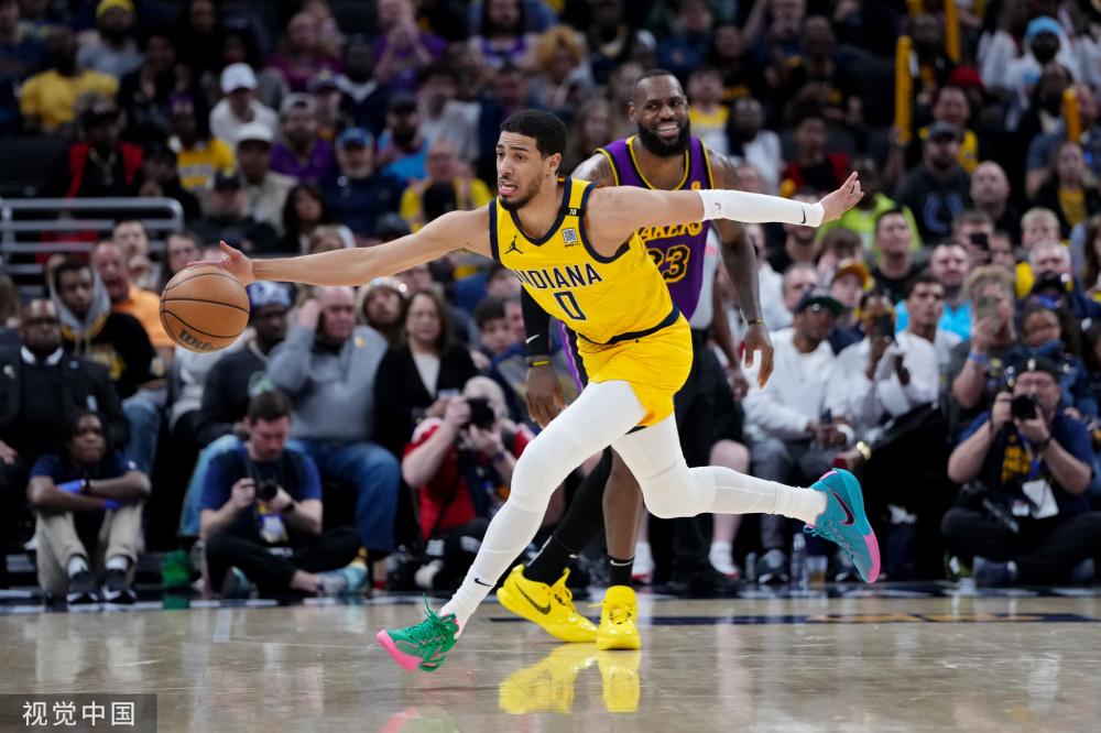 这些先例的 这些先例的